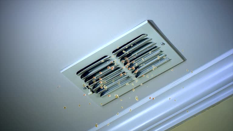 Best HVAC System Cleaning  in Lantana, FL