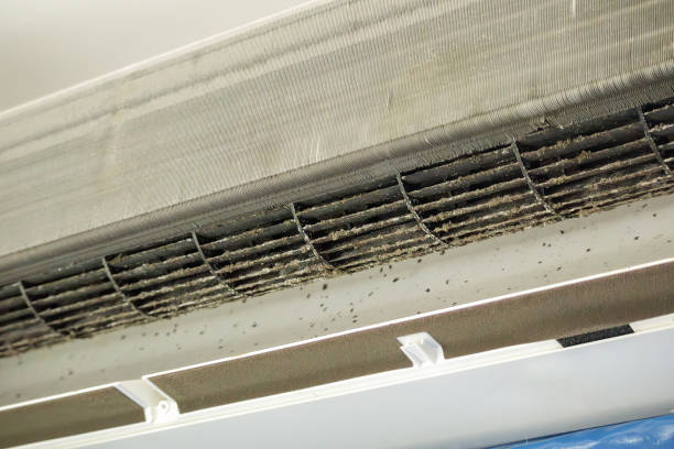 Best Air Duct Cleaning Near Me  in Lantana, FL